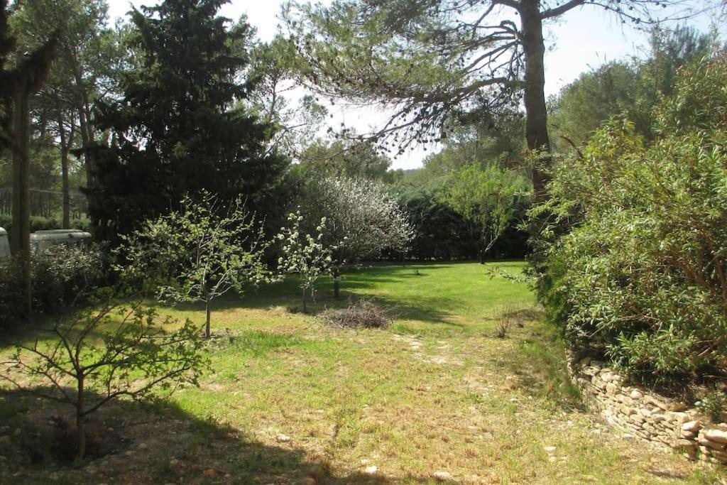 Appartement T3 Dans Propriete De 5000m2 Avec Piscine